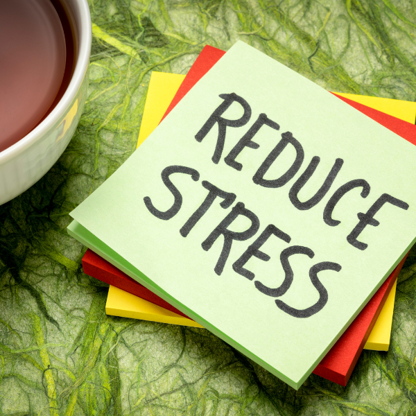 Stress Reduction During Benzo Withdrawal: A Brain-Centric Approach
